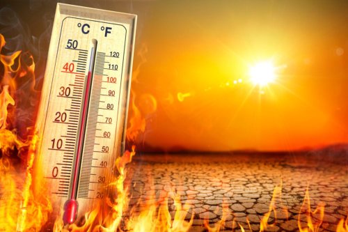 ‘Hot to very hot weekend’: Scorching temperatures expected in Gauteng