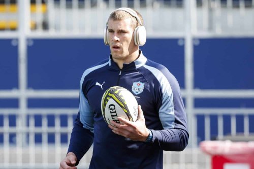 Hanekom, Le Roux back for Bulls, Nortje at No 7 for Cardiff clash