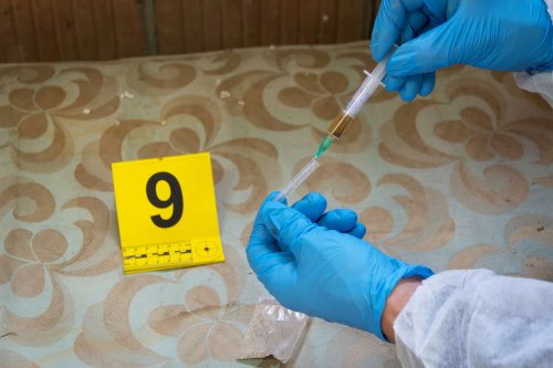 Autopsies on three boys found in Knysna to be conducted this week