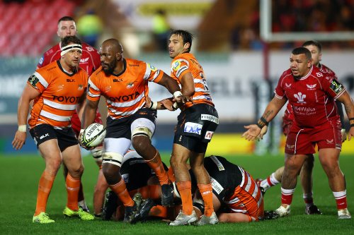 OPINION: Is Cheetahs’ participation in the Challenge Cup sustainable?