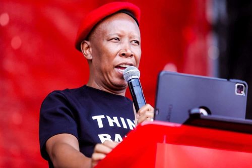WATCH: EFF to fight return of land whether Trump likes it or not Malema says