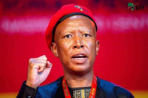 WATCH: Suspension of VAT increase ‘necessary intervention,’ Malema says