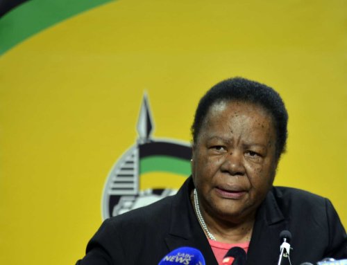 ‘Not really a popular politician, but doing her work well’ – ANC pushes for Pandor to retain post