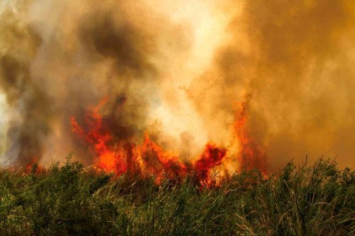 WATCH: Devasting Mabalingwe Game Reserve fire contained