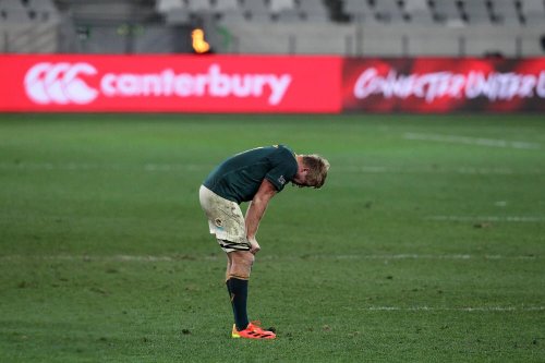 First Lions Test: Springbok player ratings