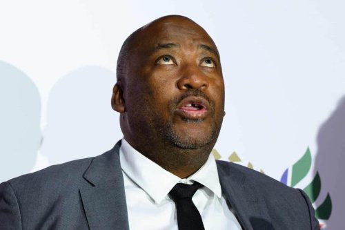 Gayton McKenzie slammed for anti-foreigner rhetoric