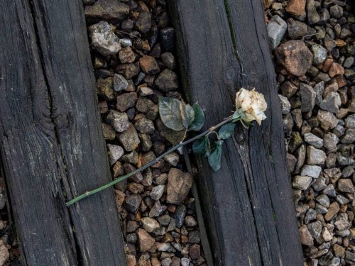 Holocaust survivor recalls how an ‘angel’ saved his family from execution in Romania