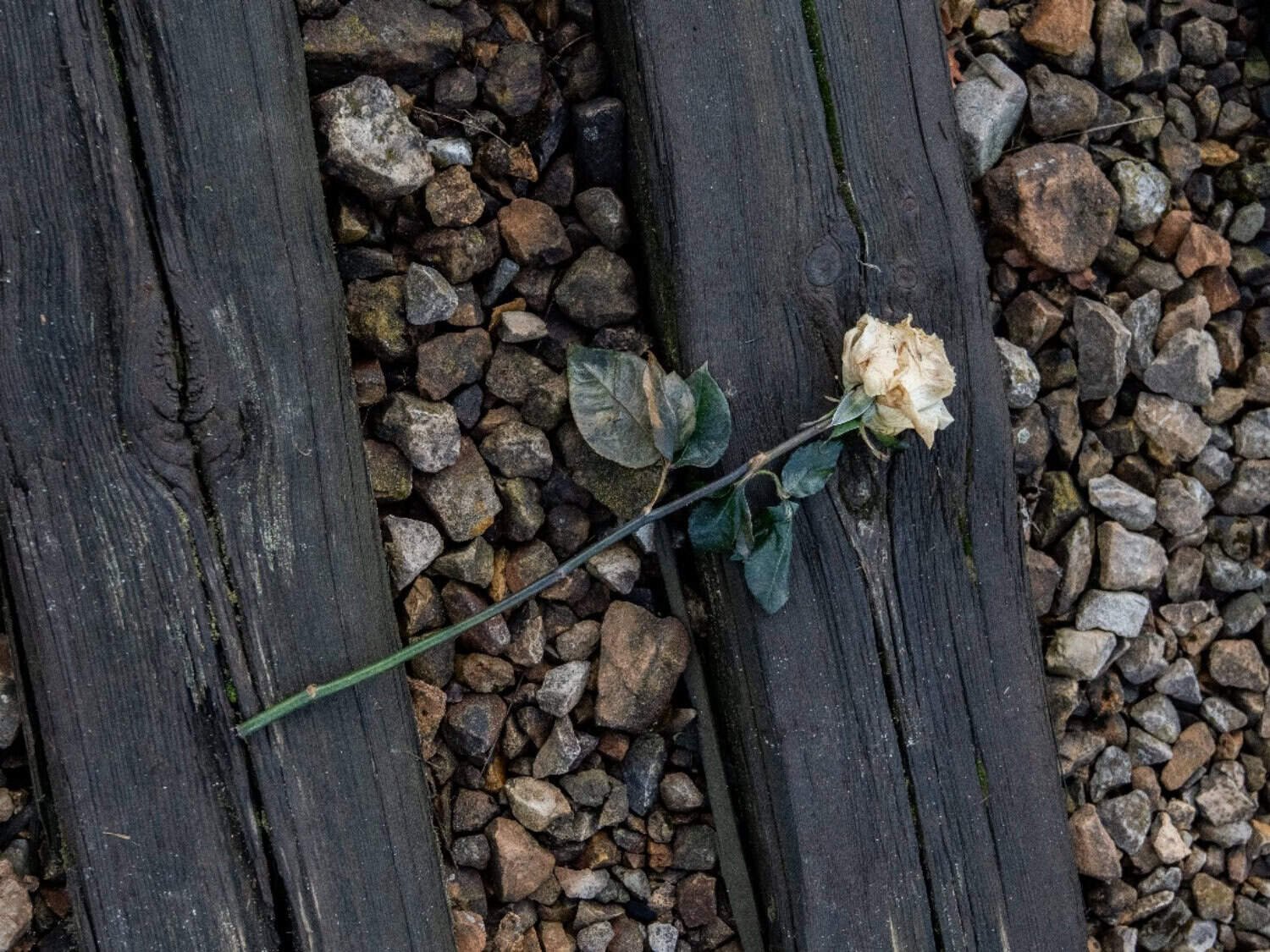 Holocaust survivor recalls how an ‘angel’ saved his family from execution in Romania