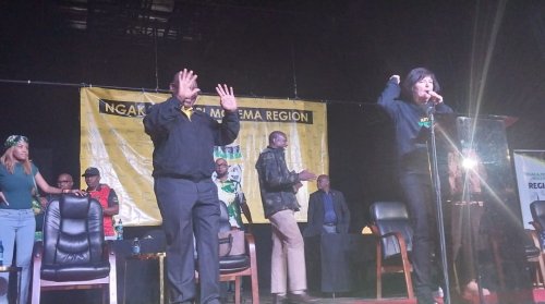 WATCH: Man tries to storm stage as Ramaphosa addresses ANC branches in North West
