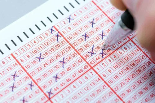 Lotto and Lotto Plus results: Wednesday, 14 May 2025