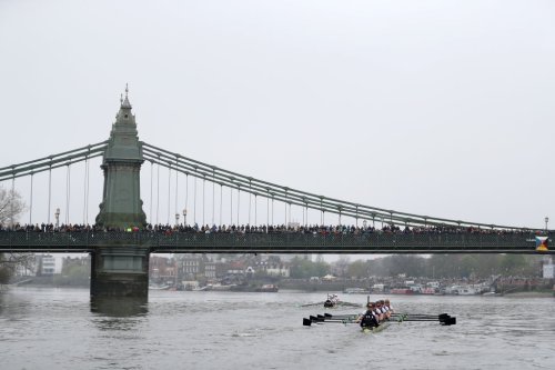 Forget the Oxford-Cambridge Boat Race: Here's the Wine Race