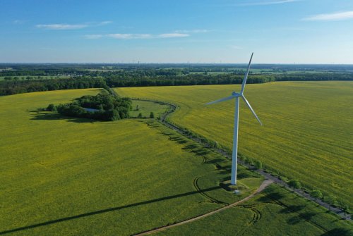 Breezy does it: Onshore wind gets green light after Government U-turn