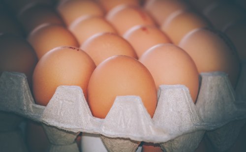 Tesco invests further £14m into egg industry as avian flu sparks rationing