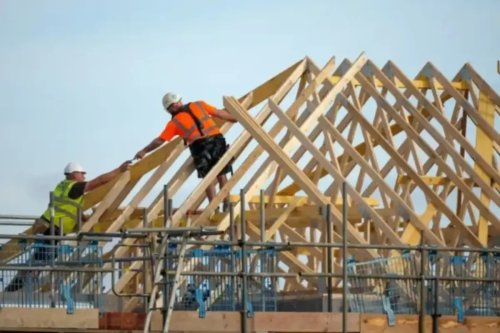 Construction firms lose hope but businesses are ‘showing resilience’