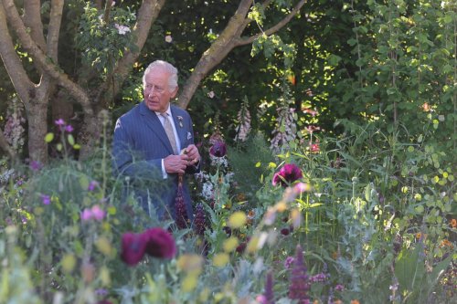 The Capitalist: Chelsea Flower Show shuns celeb, a female billionaire boom and Reform vs Reform