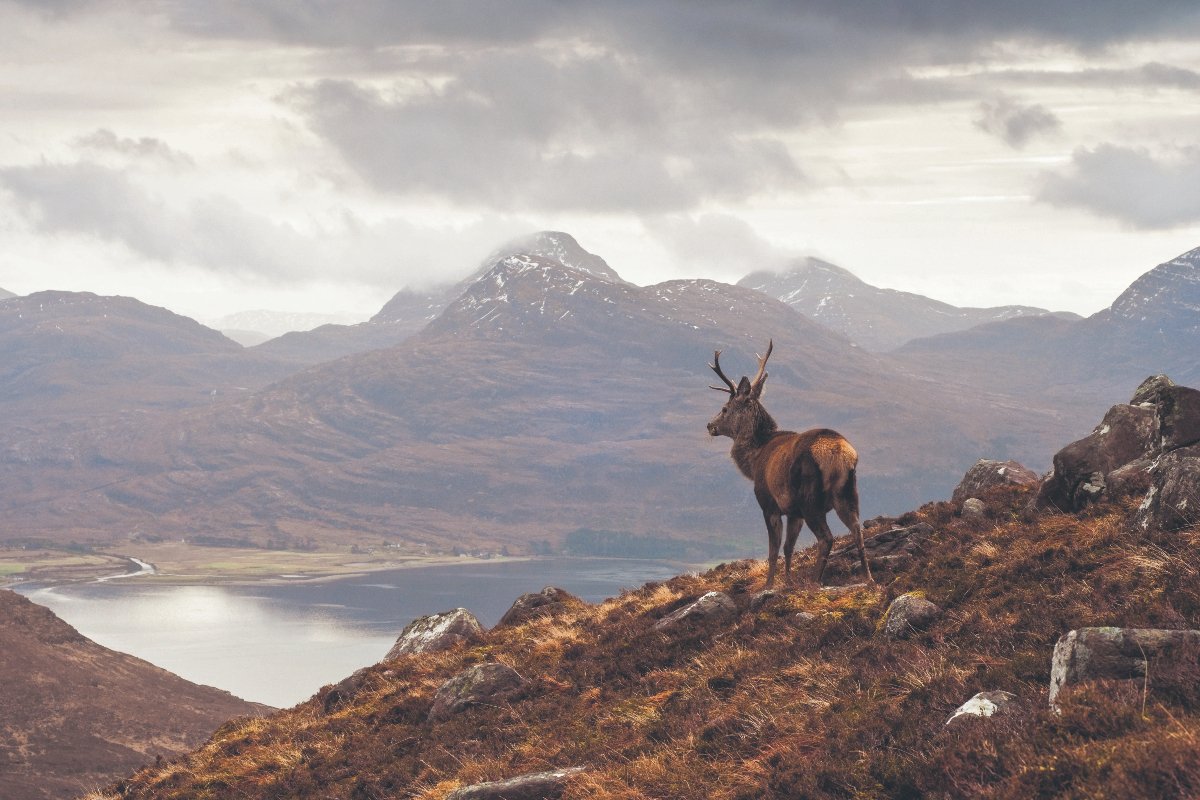 The Highland tourist tax: Is Scotland pricing out whisky tourists?