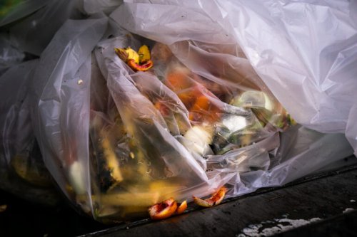 NYC Makes it Mandatory for Residential Buildings to Recycle Food Waste