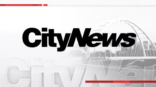 Breaking News | Top Local Stories | CityNews Edmonton