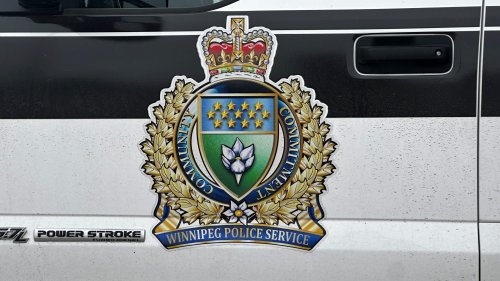 Winnipeg man charged after allegedly assaulting 2 security guards near Central Park