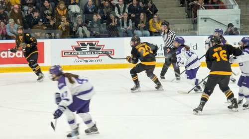 Sold-out crowd takes over Elmira for Women’s Hockey Championship final