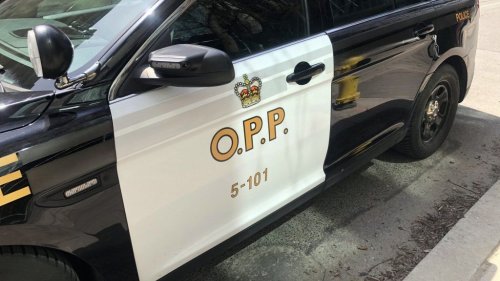 Two men attach cardboard licence plate on vehicle resulting in charges