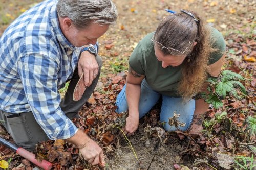 Agroforestry Projects Across US Now Stymied by Federal Cuts