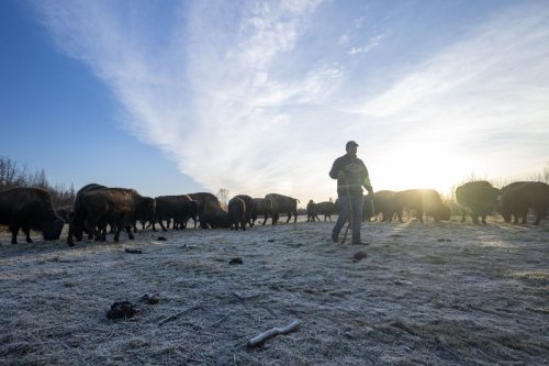 USDA’s Regional Food Business Centers Caught in Federal Funding Freeze