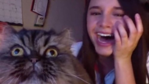 Operatic cat steals owner’s limelight, meowing his own melody in viral TikTok