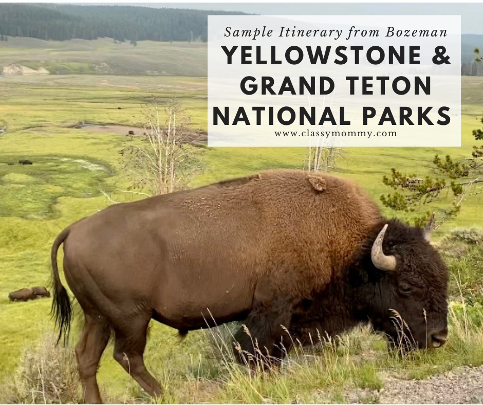 Sample Yellowstone and Grand Teton Itinerary from Bozeman Montana