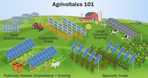 New Agrivoltaic Tool Optimizes Solar Generation And Crop Production