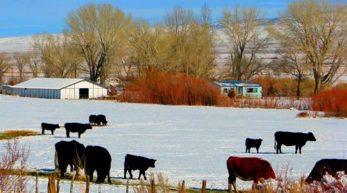 Don’t Use The Phrase “Climate Resilient” If You Want US Federal Funding