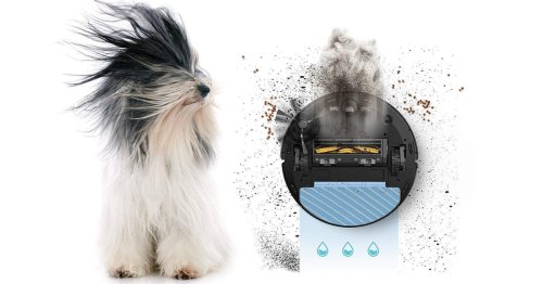 The Best Robot Vacuums for Pet Hair: Our 2023 Reviews and Ratings
