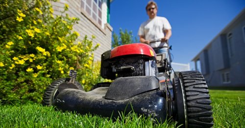 8 Backyard Cleaning Tips To Keep Your Lawn Looking Spectacular