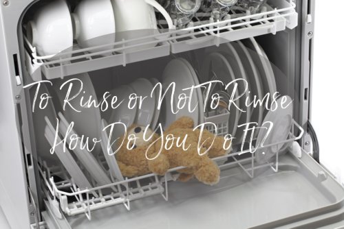 To Rinse Or Not To Rinse/How Do You Do It? - Clearissa Coward's Command Center