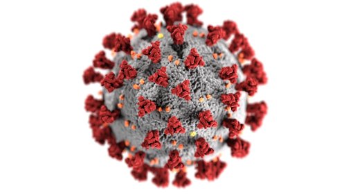Ohio COVID-19 cases fall for 9th straight week: Coronavirus update for Thursday, April 18, 2024
