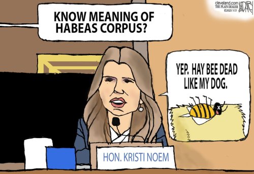 Kristi Noem on habeas corpus: Darcy cartoon