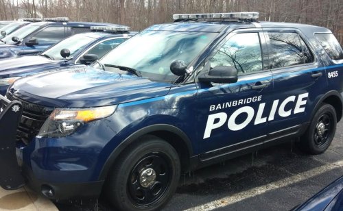 Driver’s hiking trail shortcut ended with lights and crash into tree: Bainbridge Township police blotter