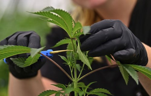 Ohio medical marijuana dispensary expansion begins: Capitol Letter