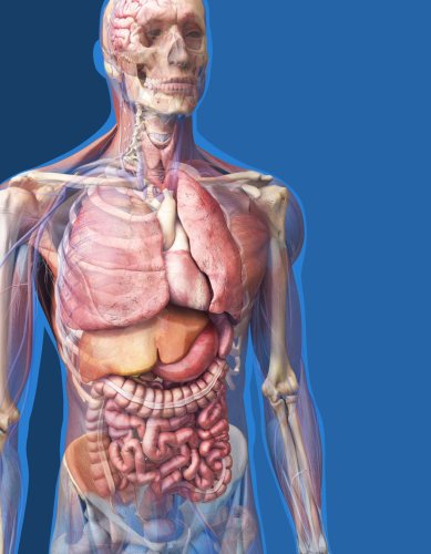 Clinic, Case use virtual reality to teach anatomy