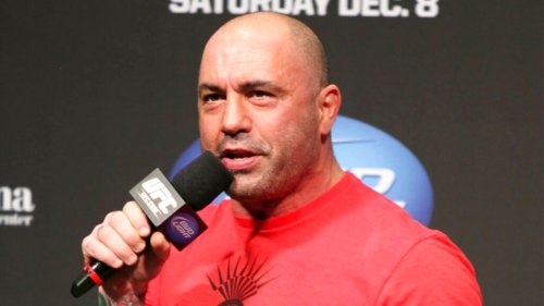 Trump’s ‘dumbest’ move ever: In shocking break, Joe Rogan says feud is just ‘ridiculous’