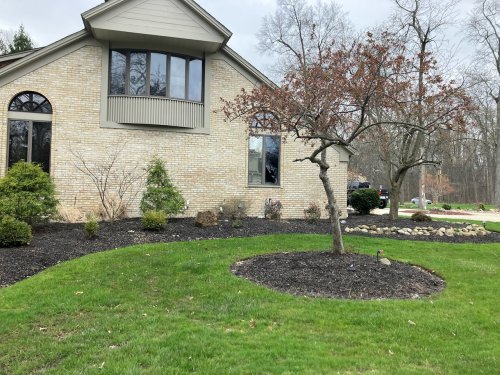 Screams, broken glass and a SWAT team: Westlake neighbors are tired of police arriving at the home of Angelo’s Pizza owner