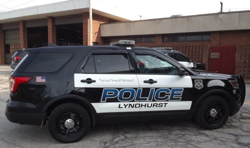 Man walks into insurance office and pulls down his pants: Lyndhurst Police Blotter
