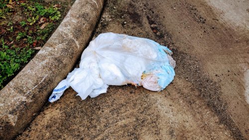 ‘It’s very disgusting:’ Someone is dumping bags full of dirty adult diapers in Houston Heights