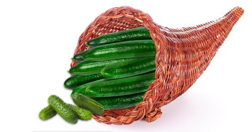 You Call This A Bounty? This Cornucopia Is 100 Percent Cucumbers