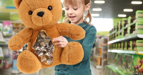 About Time: Build-A-Bear Workshop Will Now Give You The Option To Have Your Toy Bear Stuffed With A Bunch Of Live Mice And Chipmunks