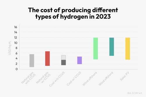 Clean hydrogen hype fades as high costs dampen demand