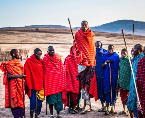 The African Savannah in Peril: How Climate Change is Impacting Global Biodiversity