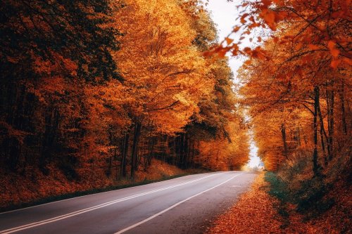 12 Ways to Reduce Climate Change