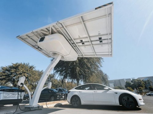Tesla’s Reputation Collapses In New Study