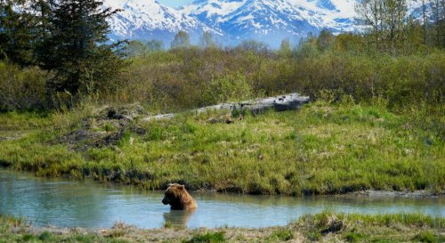 Way up north, all is watery and Well: Yup, Alaska Is America’s Only Drought-Free State